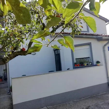 Gordana Apartments Fazana Exterior photo